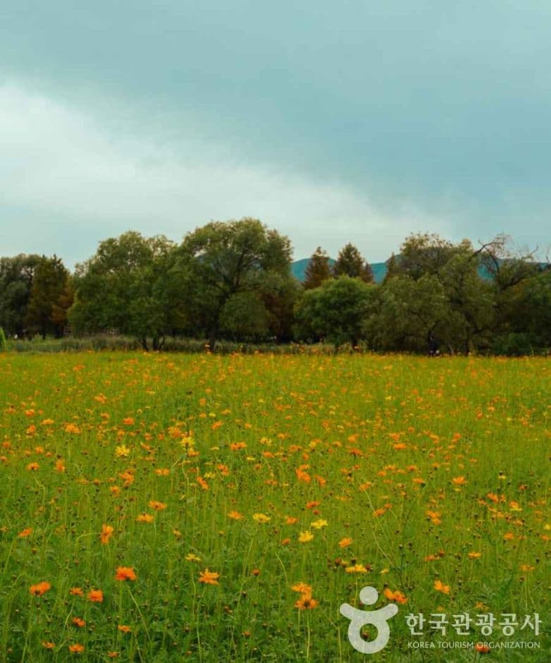 물의정원