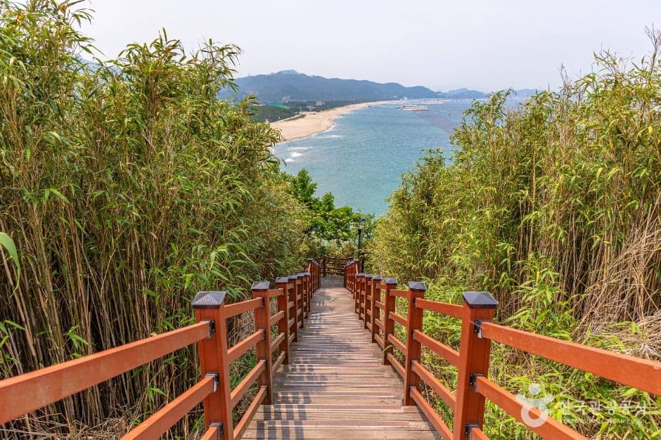 덕봉산 해안생태탐방로