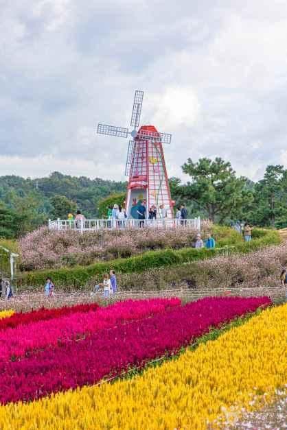 고석정 꽃밭