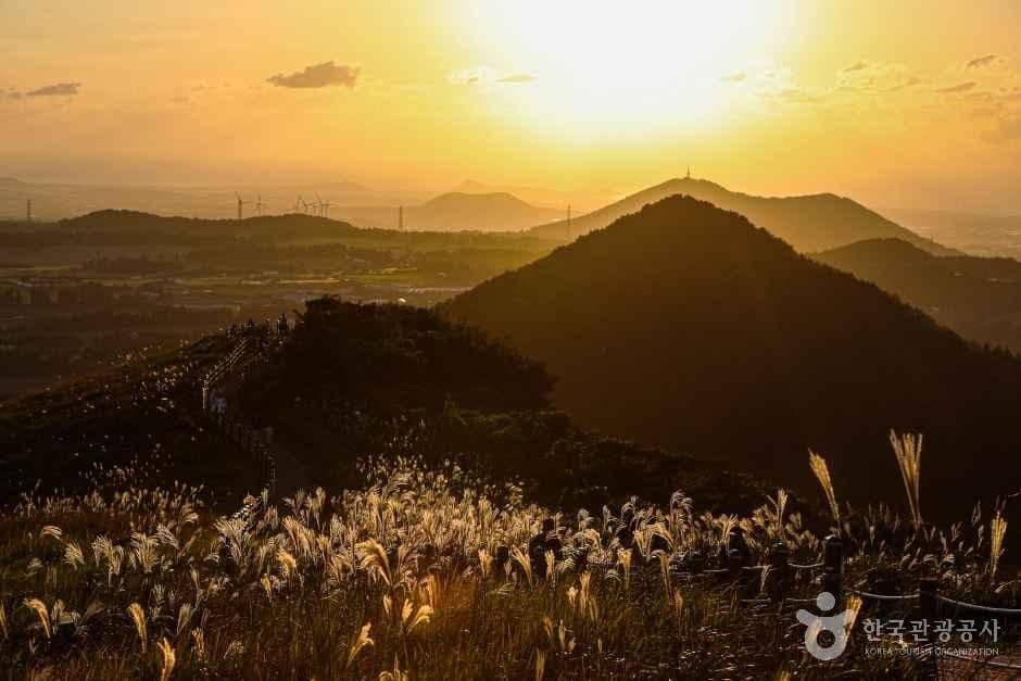 새별오름