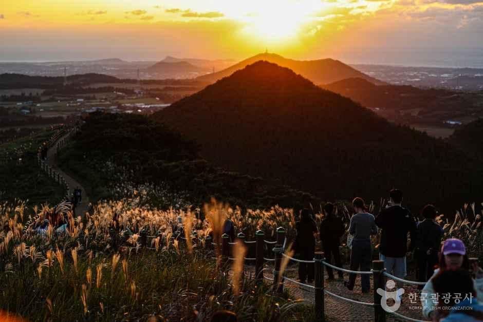새별오름