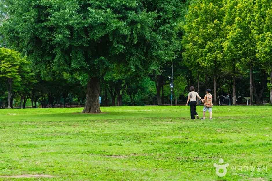 서울숲
