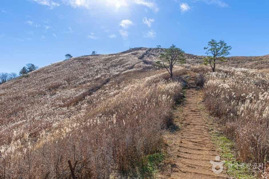 민둥산