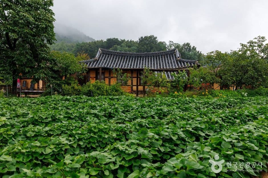 고성 왕곡마을