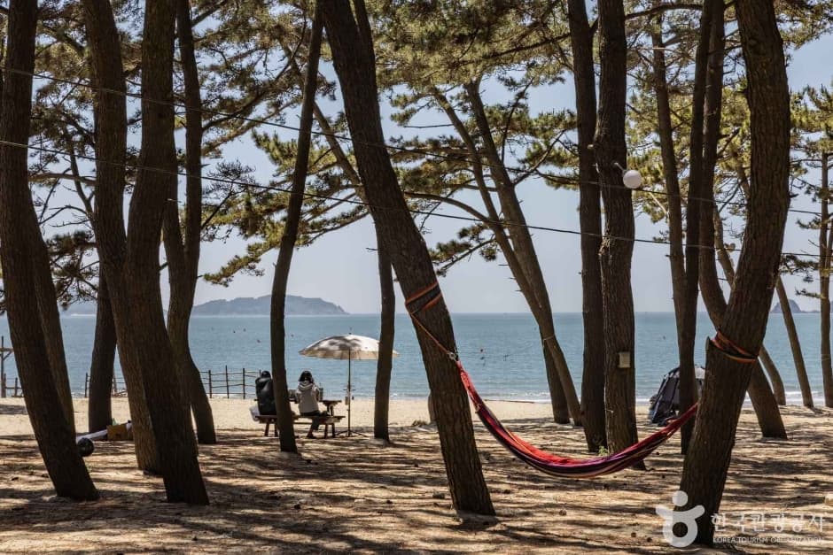 갈음이해수욕장 (2)