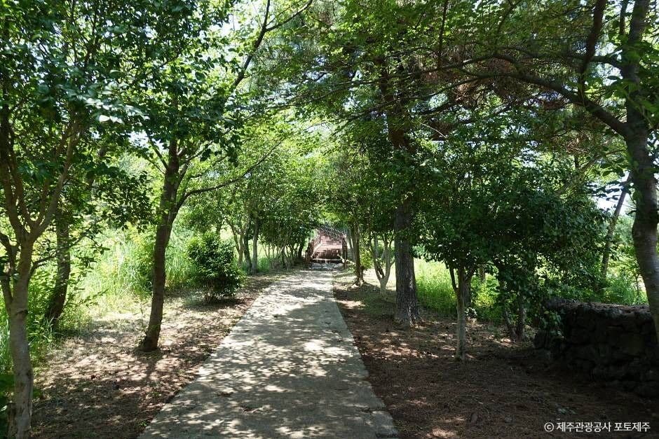 제주_도두봉 (1)