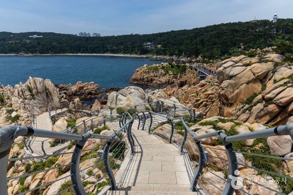 대왕암공원 (2)