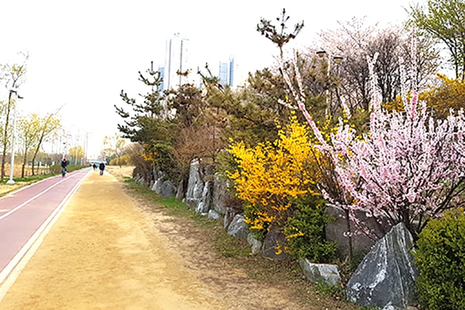 달빛축제공원_산책로