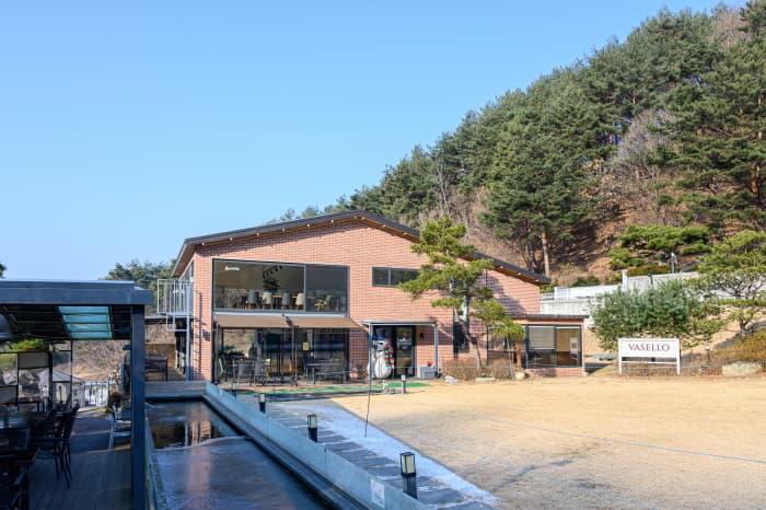 바셀로 05