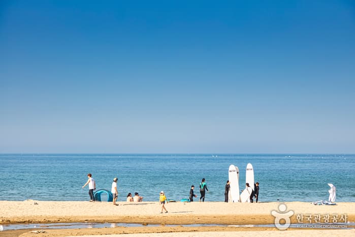 죽도해수욕장 1