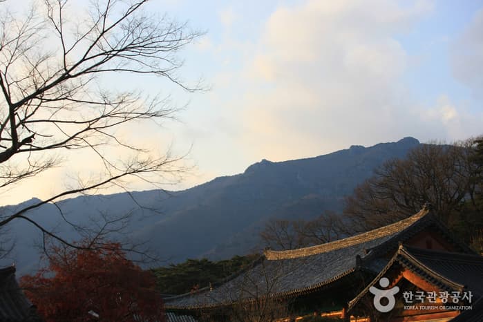 영축산_001