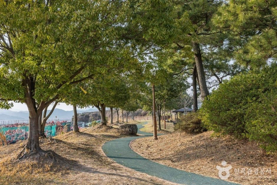 순천_와온해변 (1)