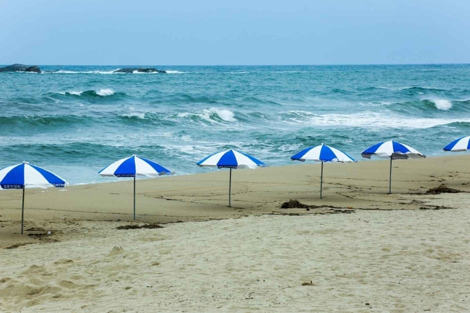 사근진해변_2