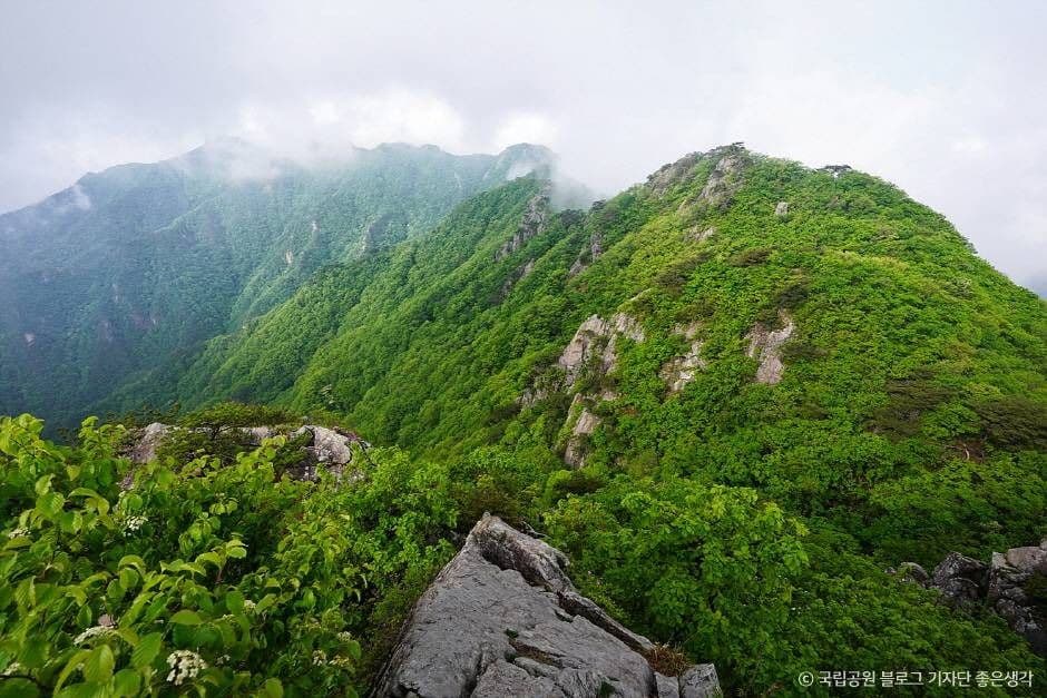계룡산국립공원 (1)