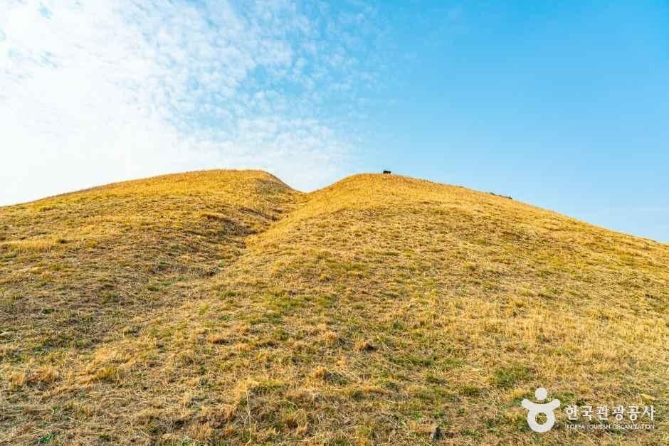 순천_순천 검단산성 (1).jpg